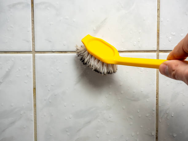 Maryland City, MD Mold Removal Company