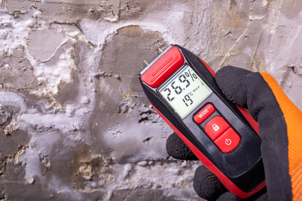 Best Home Mold Removal  in Maryland City, MD