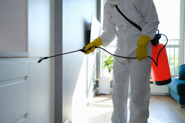 Best Mold Damage Repair  in Maryland City, MD