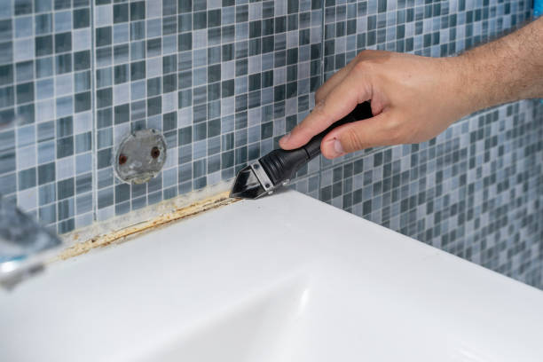 Best Black Mold Removal  in Maryland City, MD